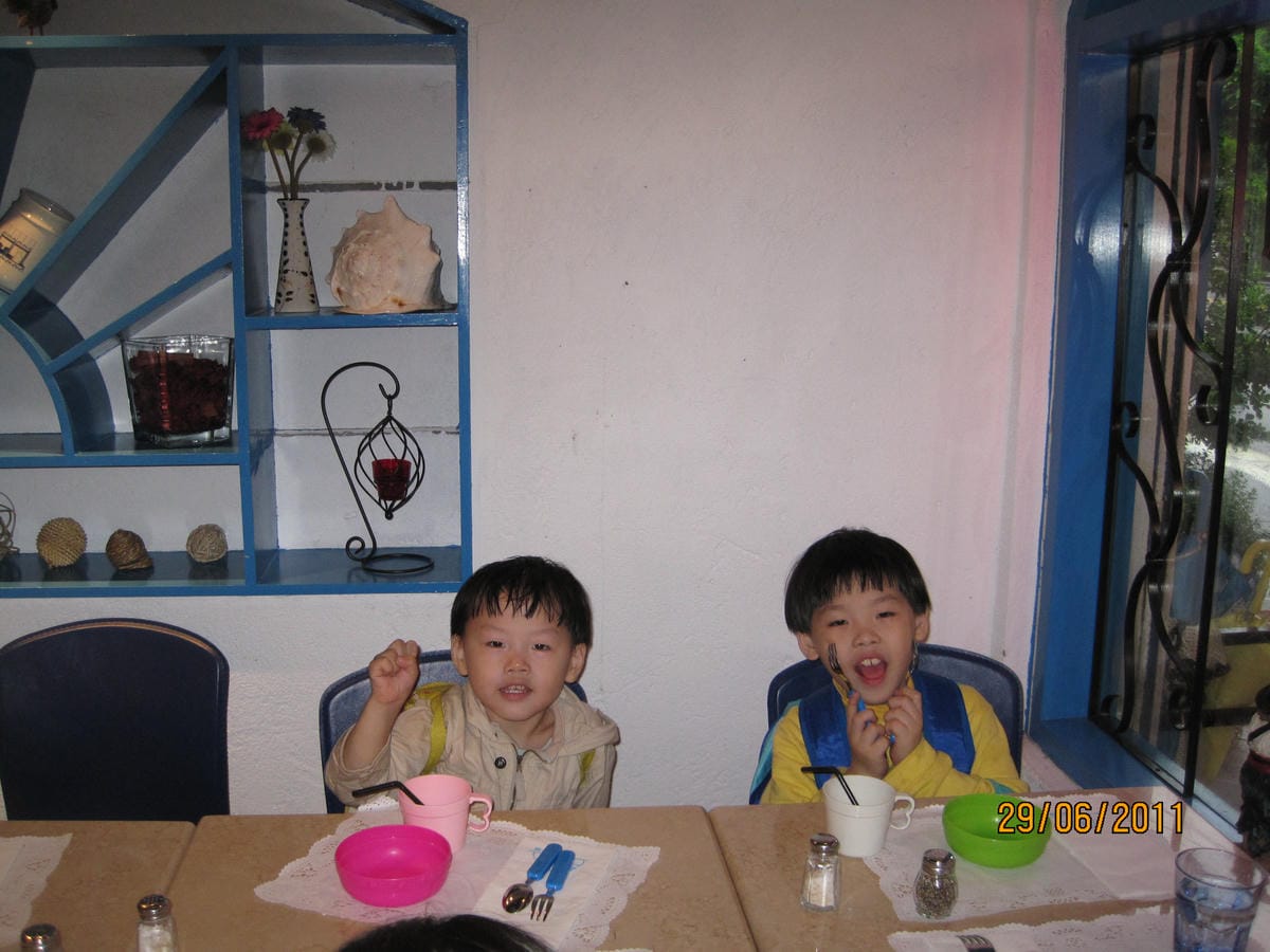 20110629三隻母雞