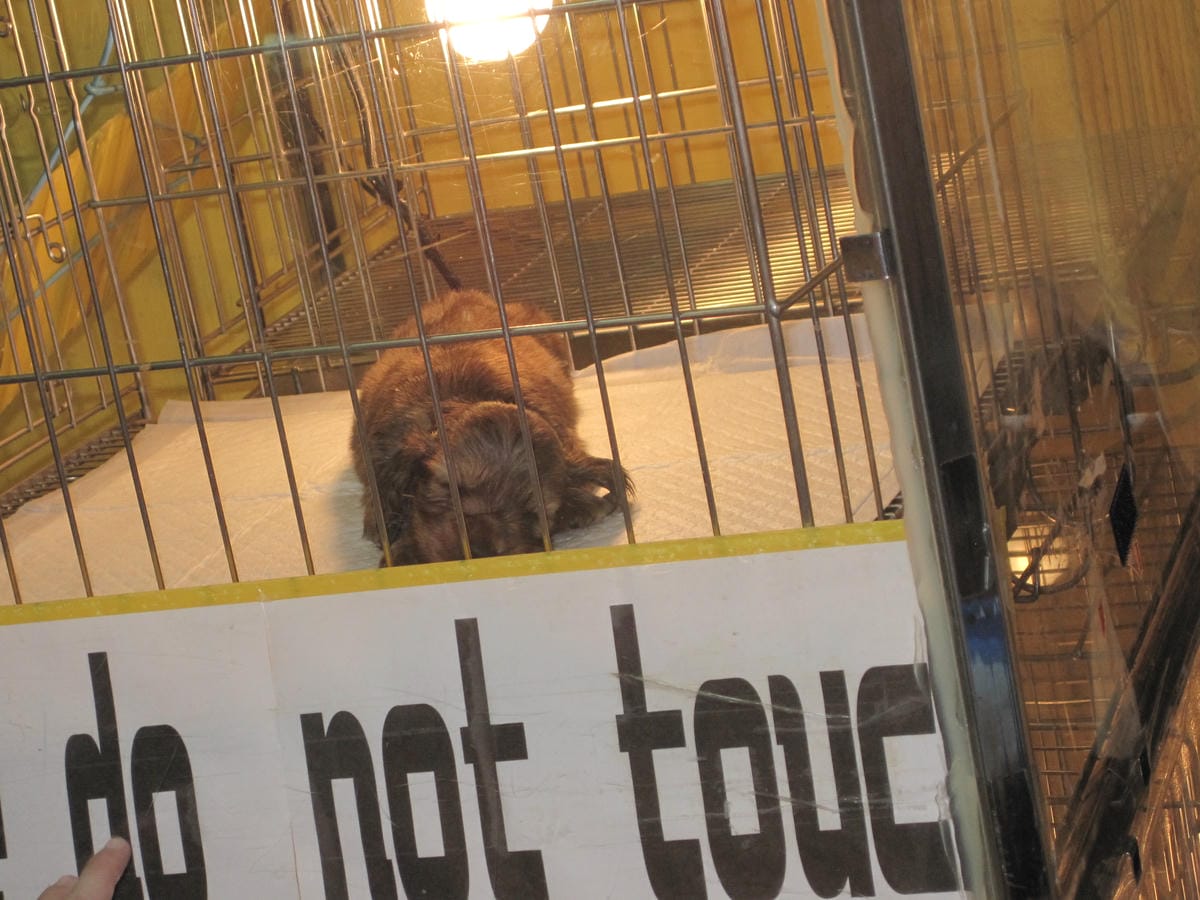 IMG_1399.JPG IMG_1399.JPG