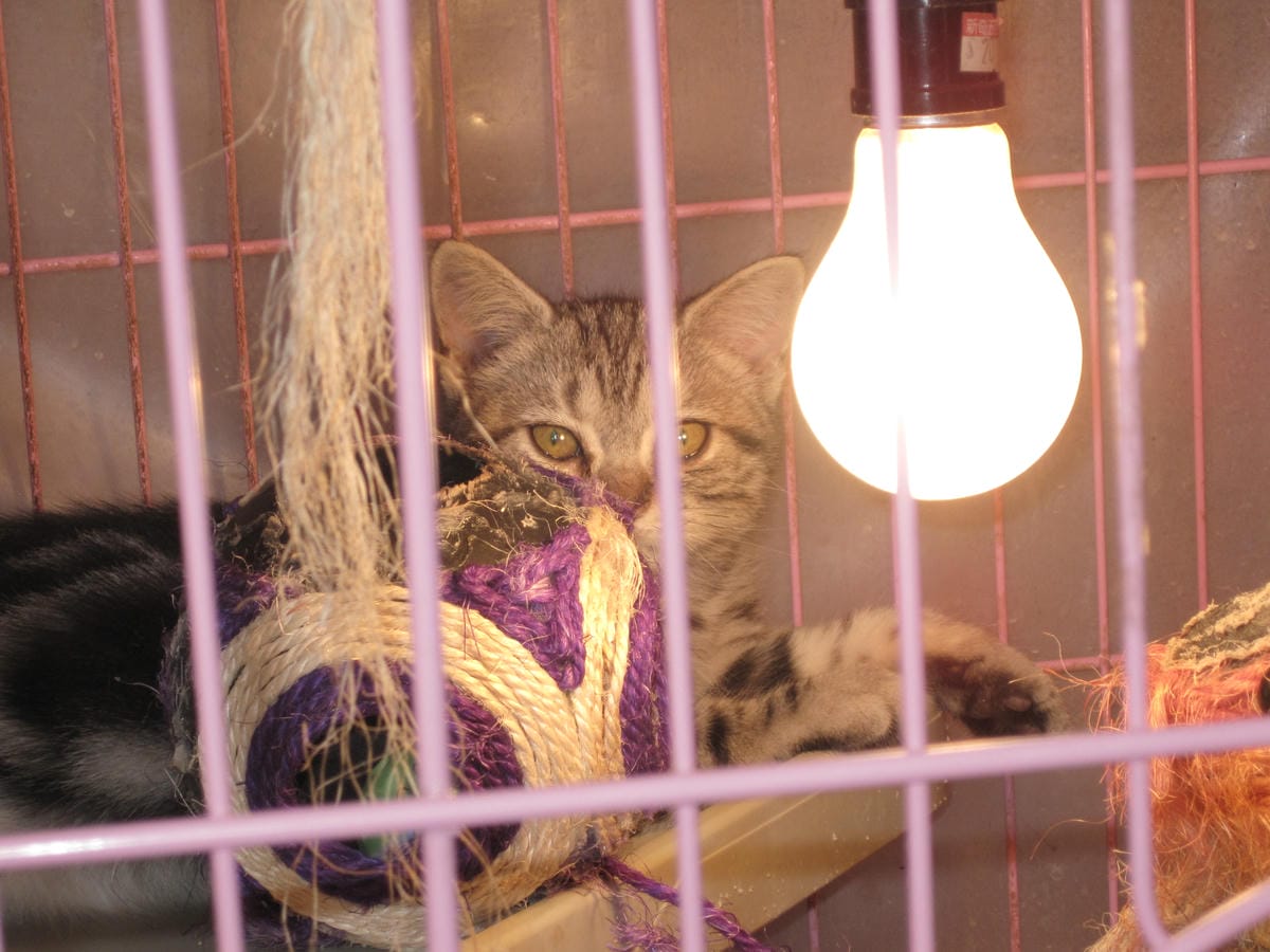 IMG_1402.JPG IMG_1402.JPG