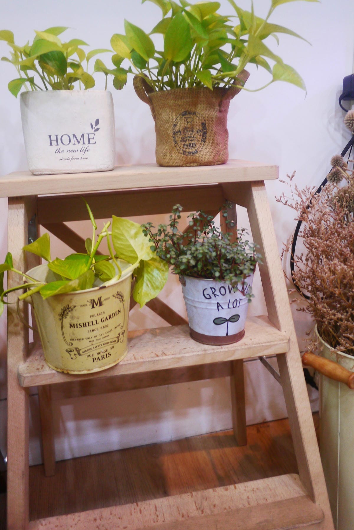 P1330672.JPG P1330672.JPG