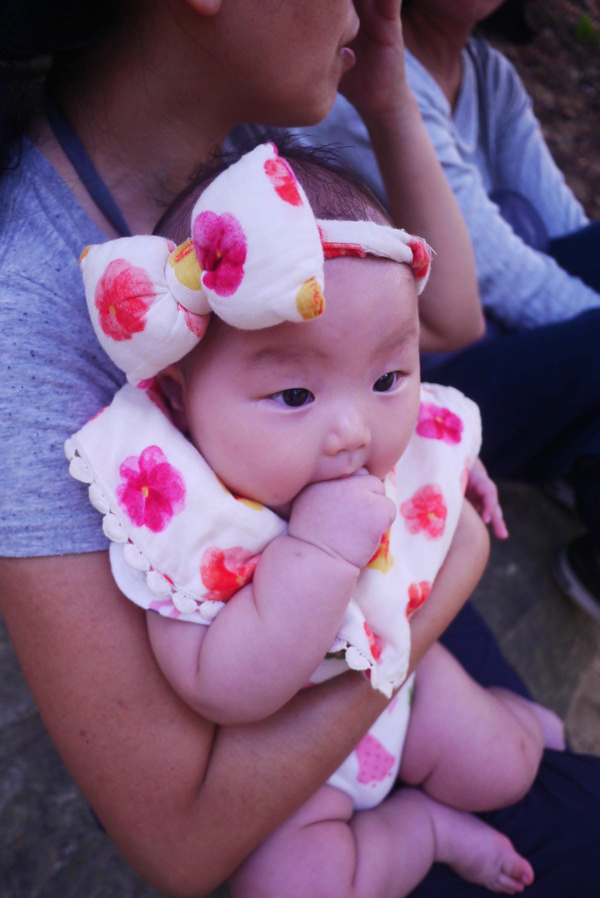 P1480642.JPG P1480642.JPG