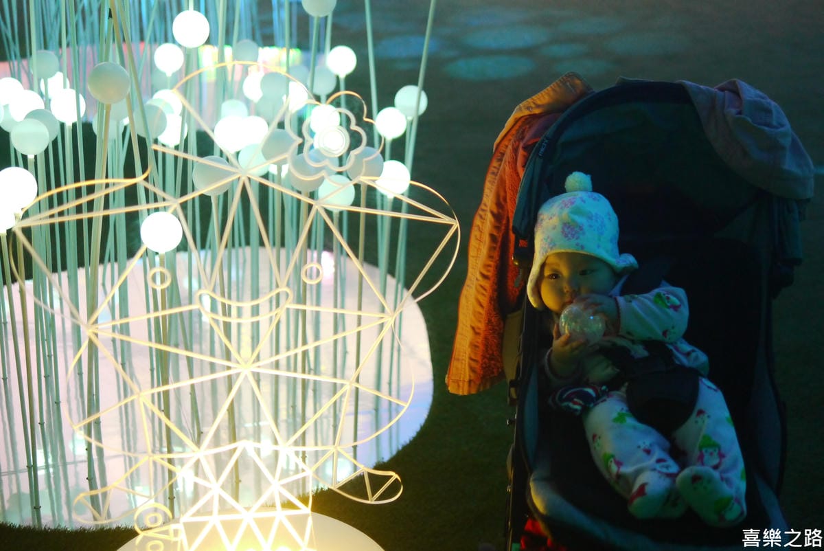 P1550063-.JPG P1550063-.JPG