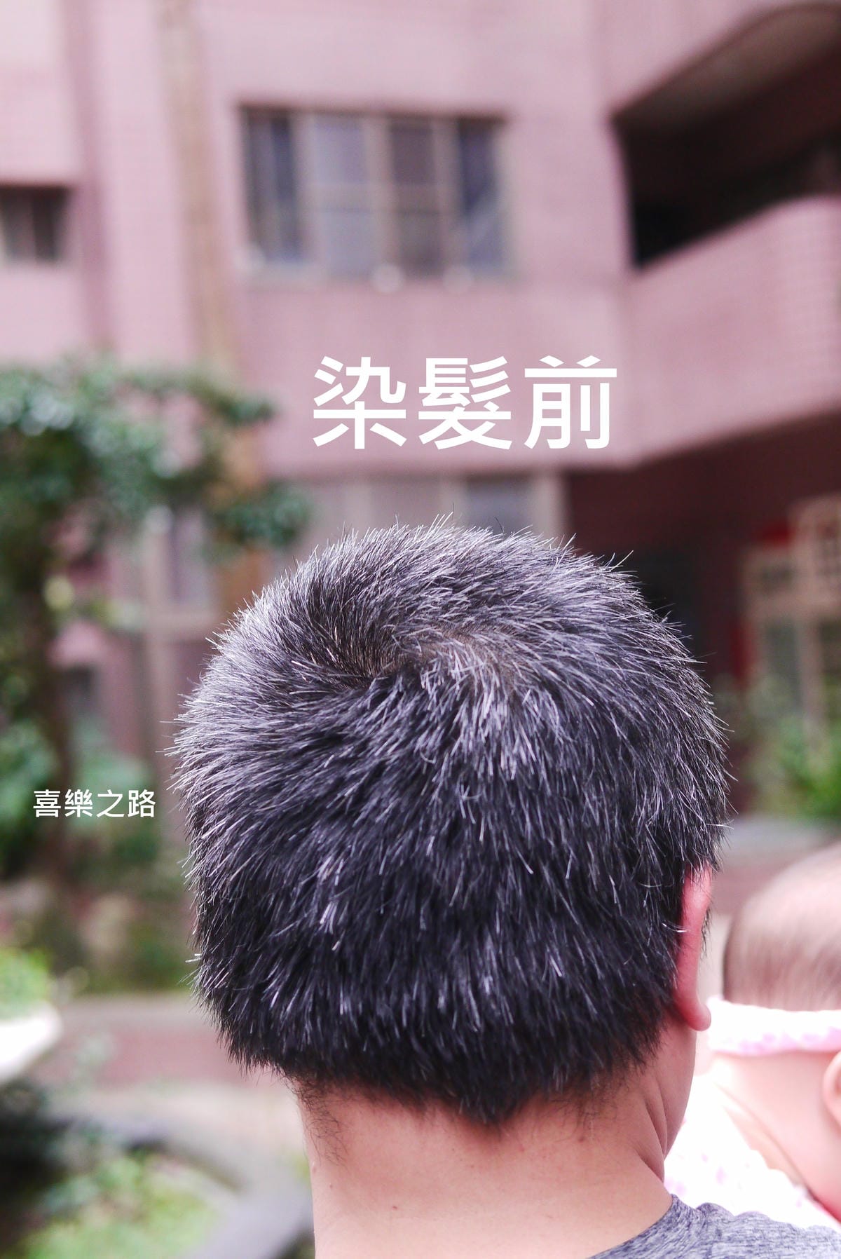 P1560946.JPG P1560946.JPG