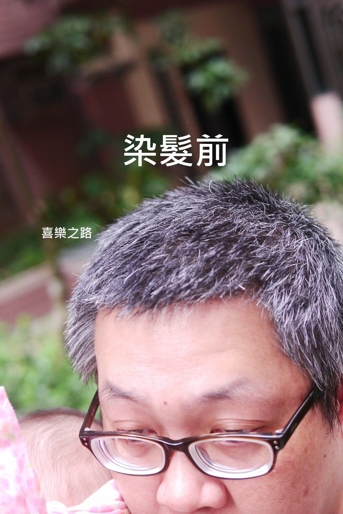 P1560943_.JPG P1560943_.JPG