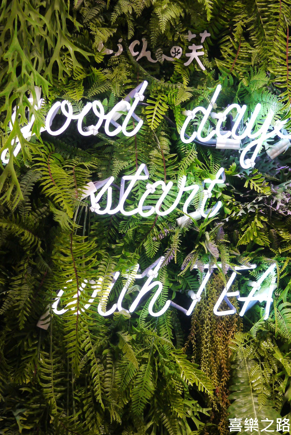 P1570348.JPG P1570348.JPG