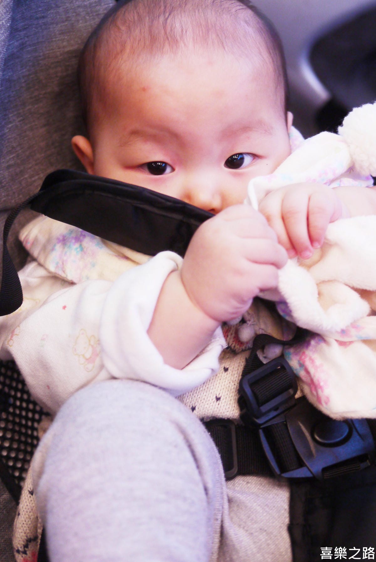 P1570253-3.JPG P1570253-3.JPG