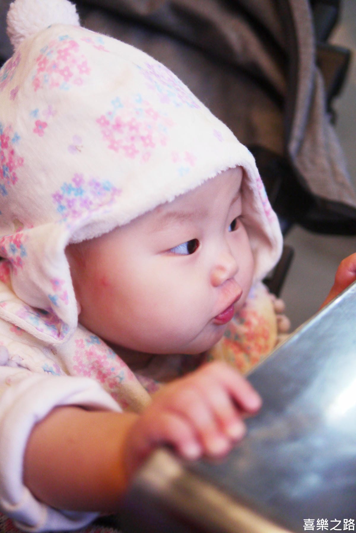 P1570253-2.JPG P1570253-2.JPG