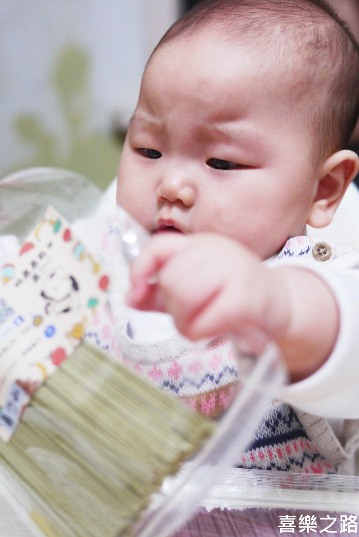 P1560183.JPG P1560183.JPG