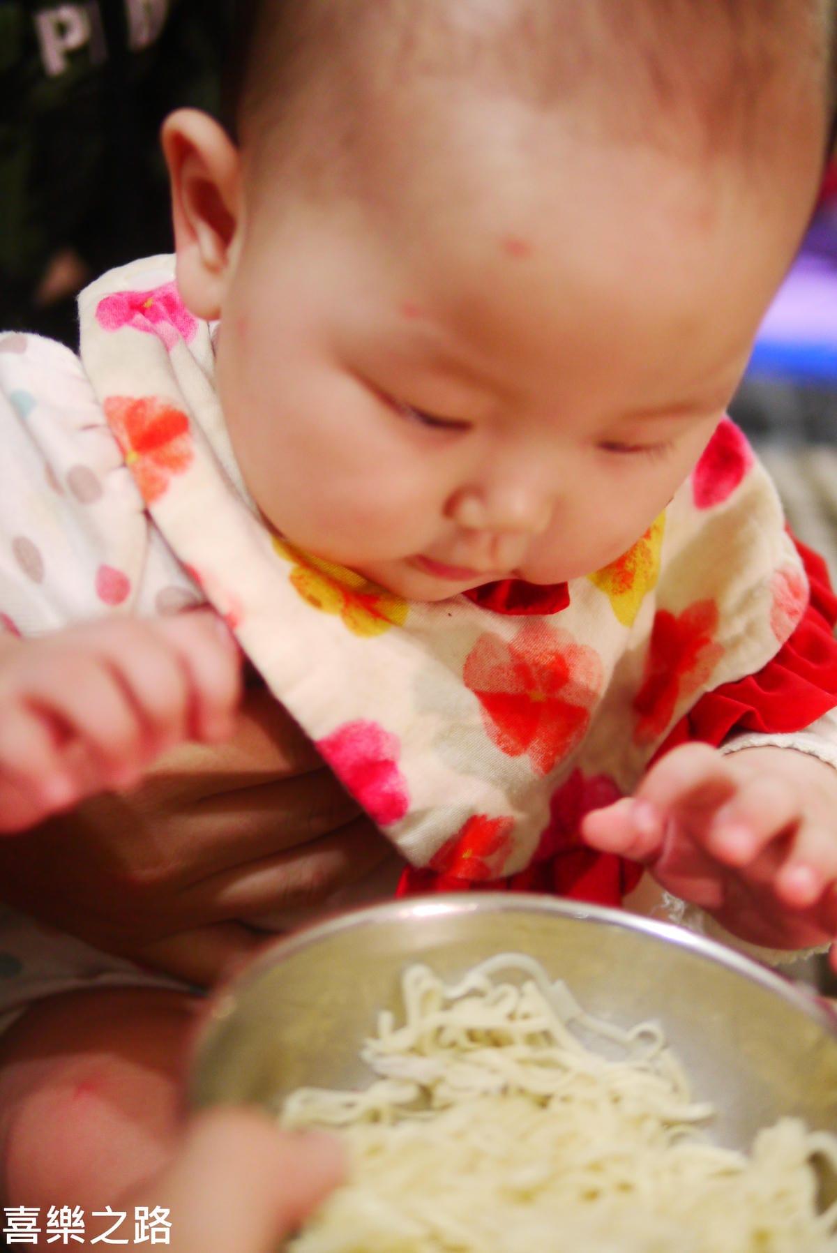 P1570063.JPG P1570063.JPG