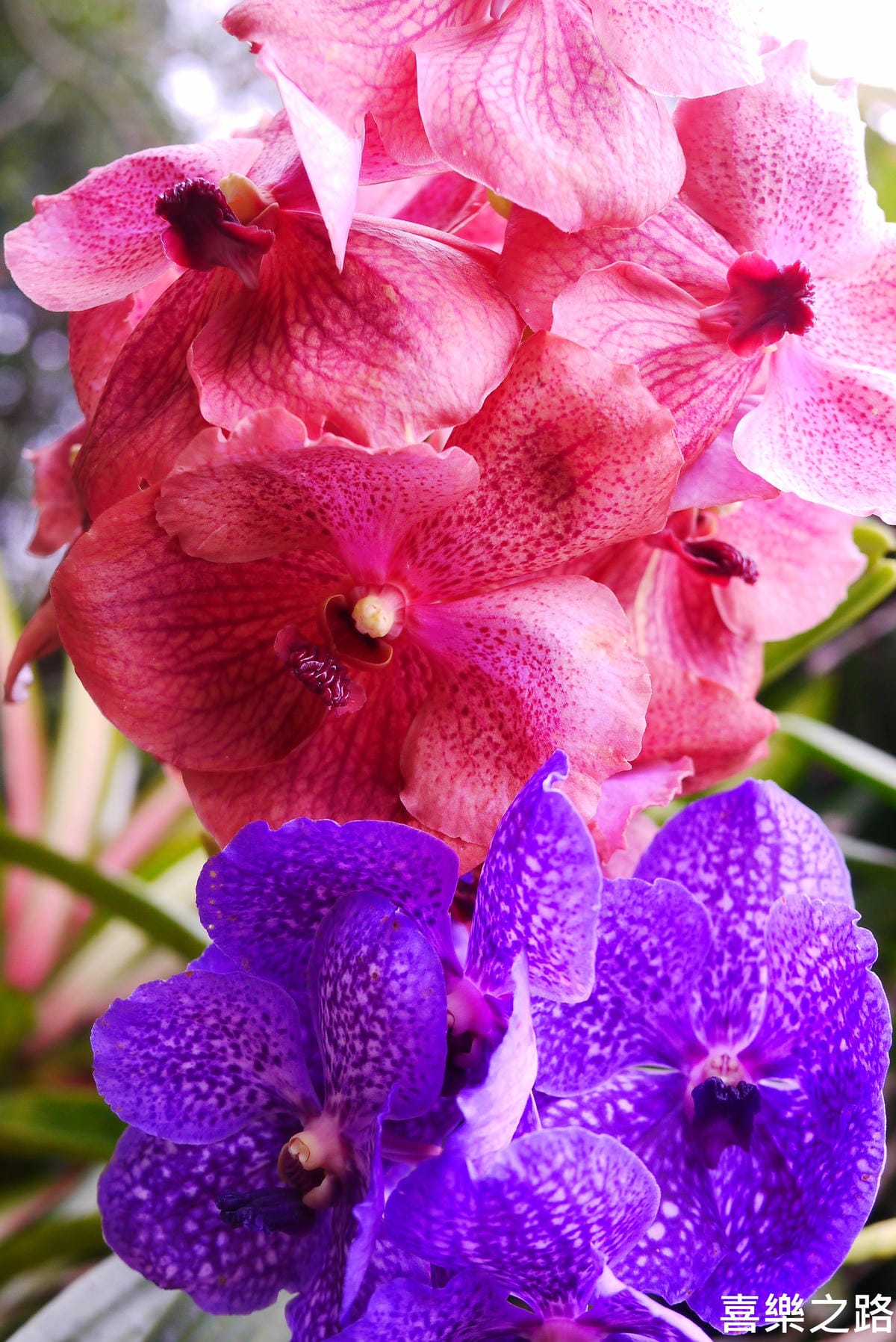 P1590465.JPG P1590465.JPG