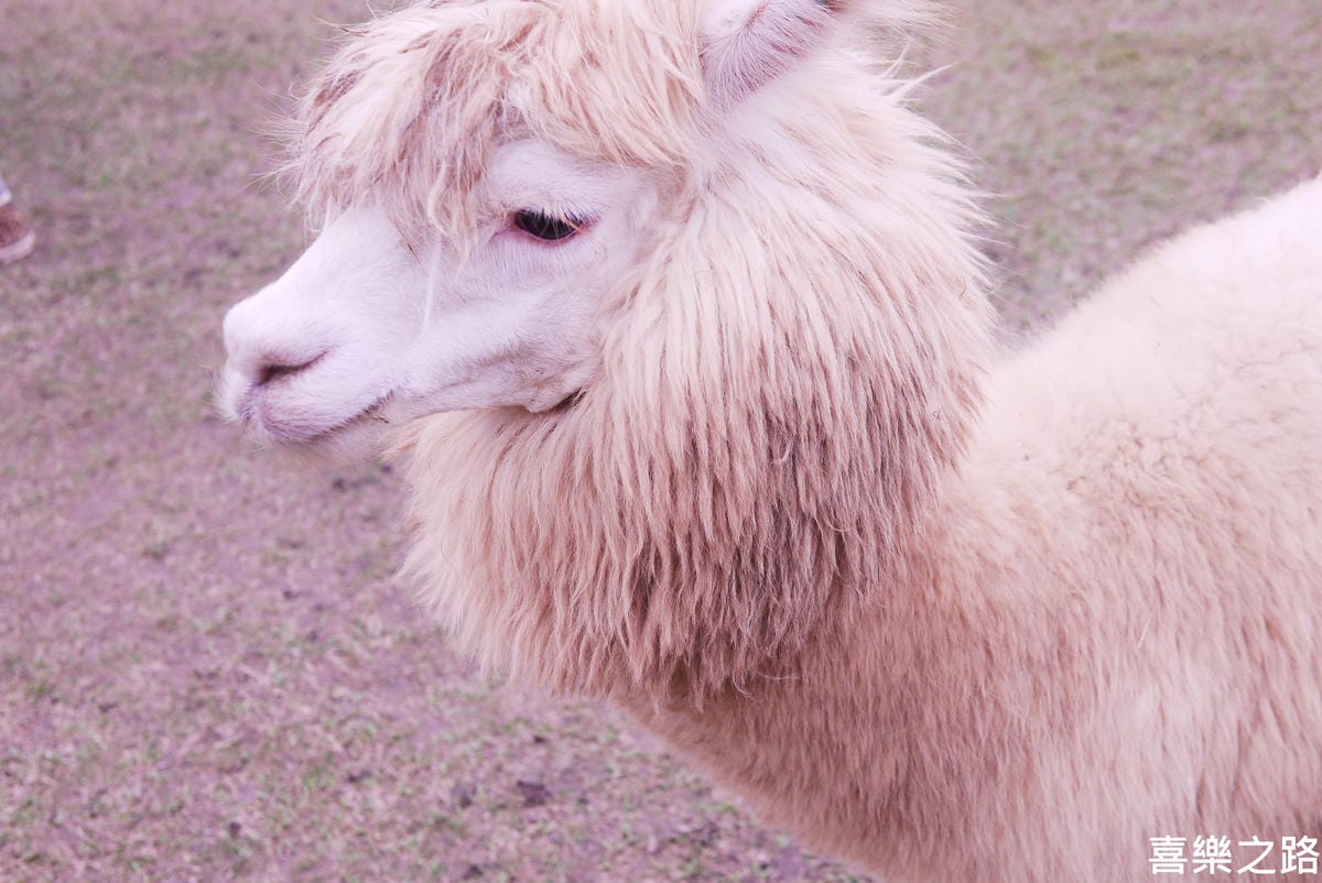 P1590702.JPG P1590702.JPG