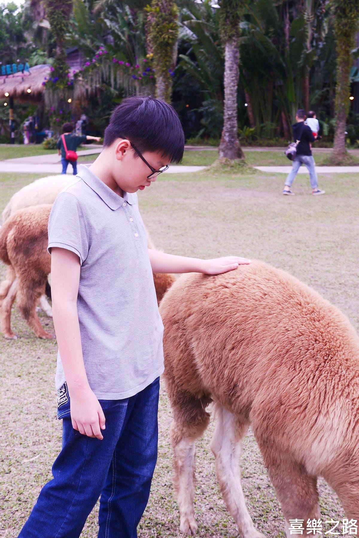 P1590610.JPG P1590610.JPG