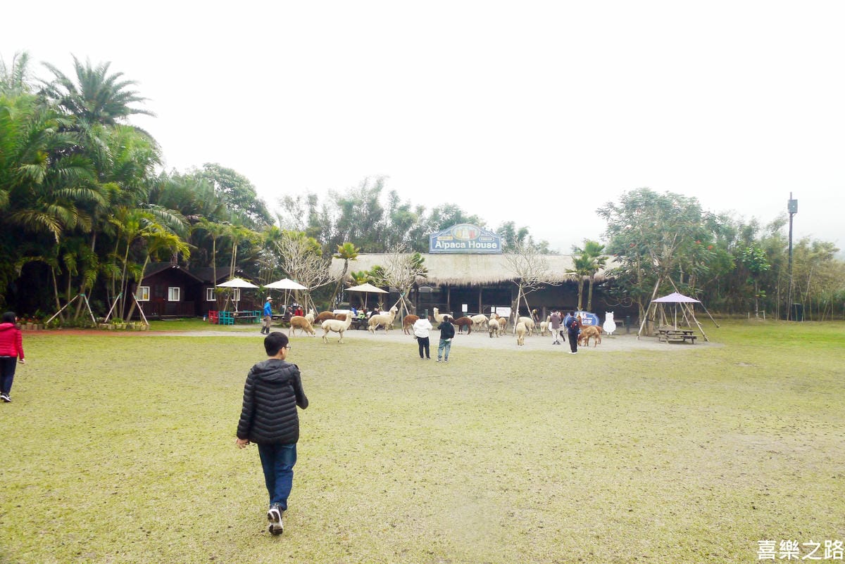 P1590580-.JPG P1590580-.JPG