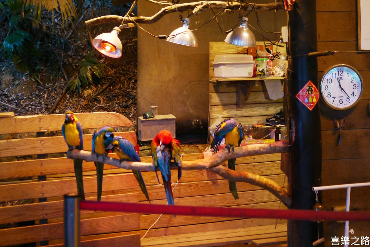 P1590353.JPG P1590353.JPG