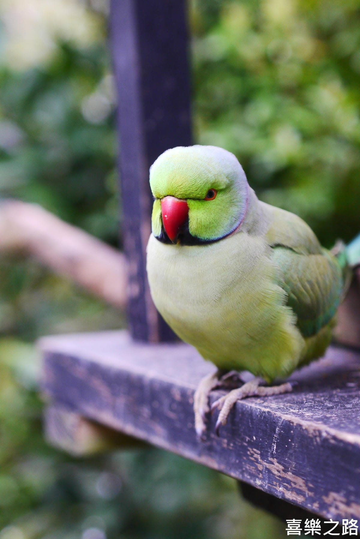 P1590807.JPG P1590807.JPG