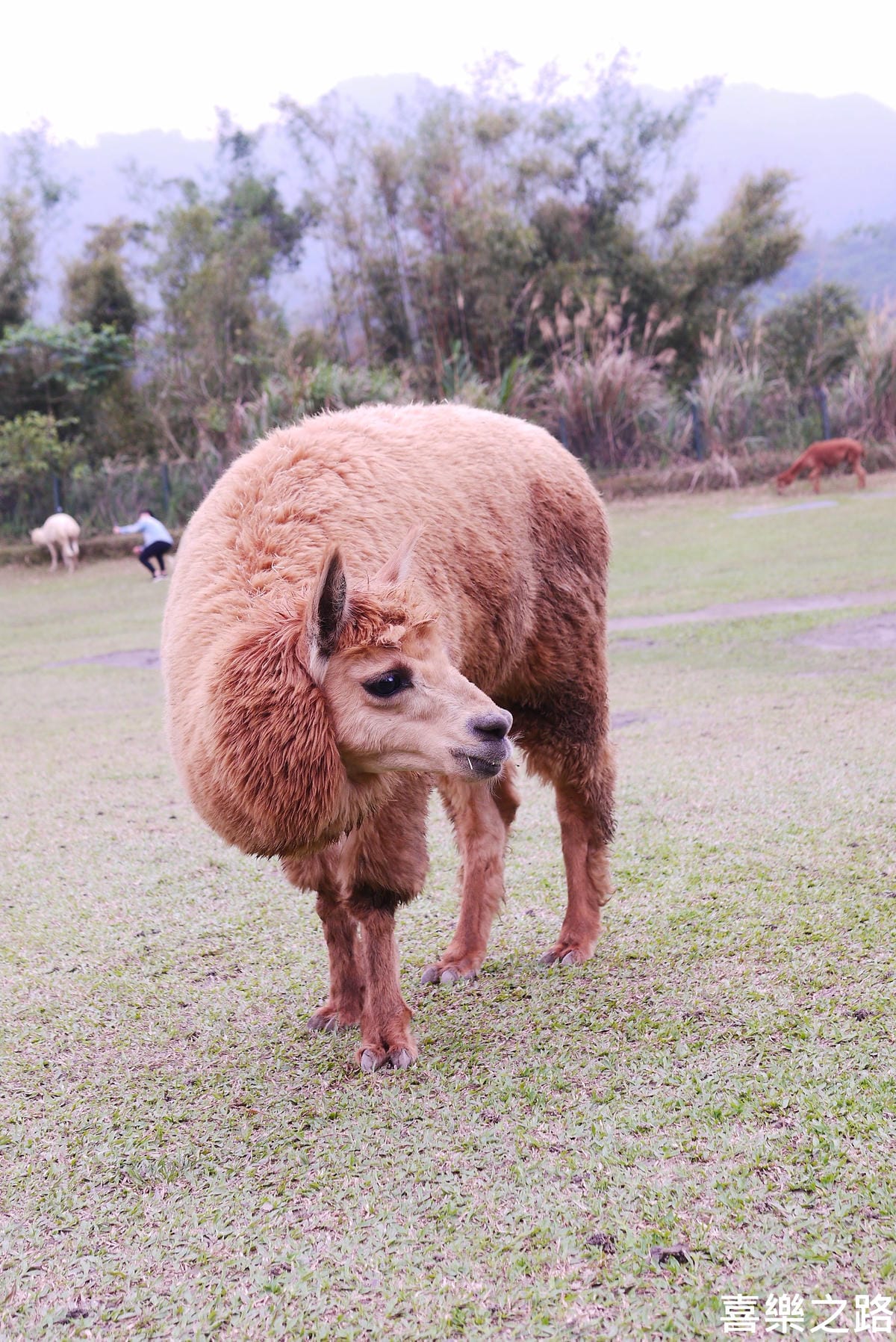 P1590588.JPG P1590588.JPG