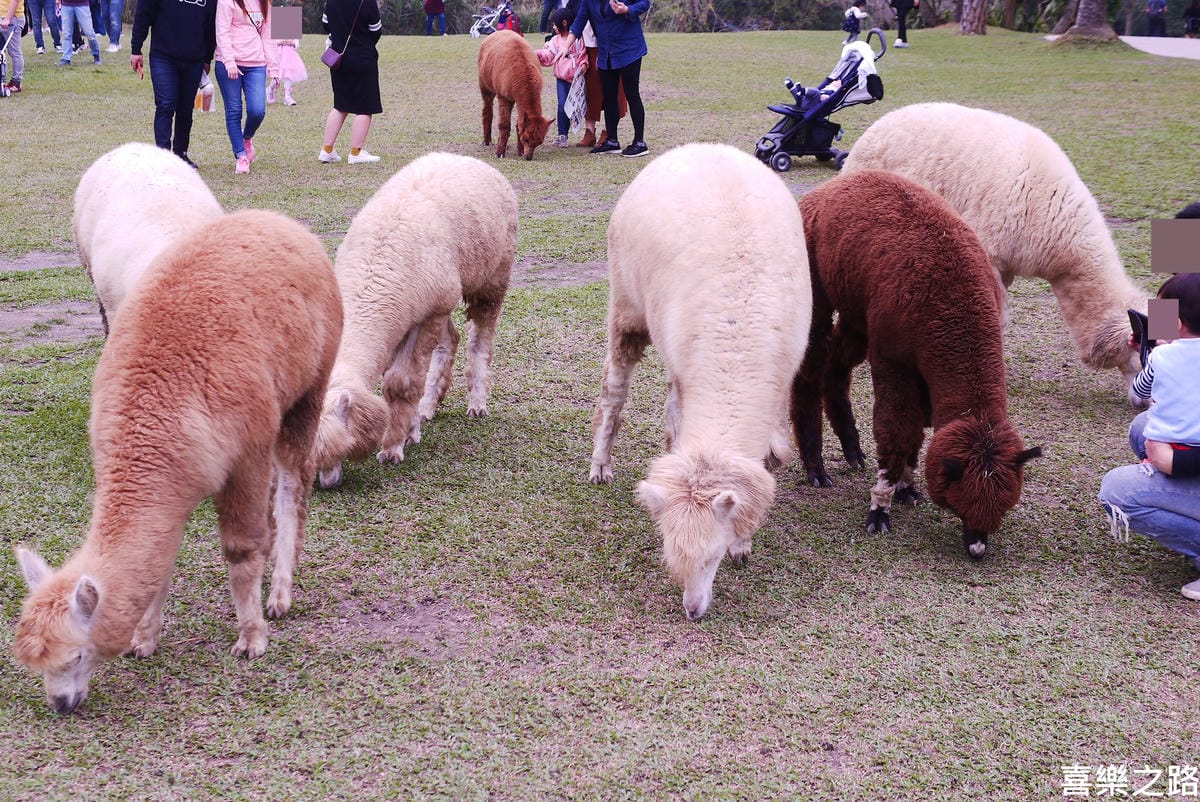 P1590599.JPG P1590599.JPG