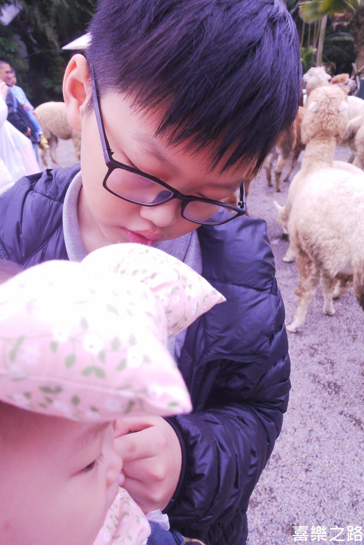 P1590581-.JPG P1590581-.JPG