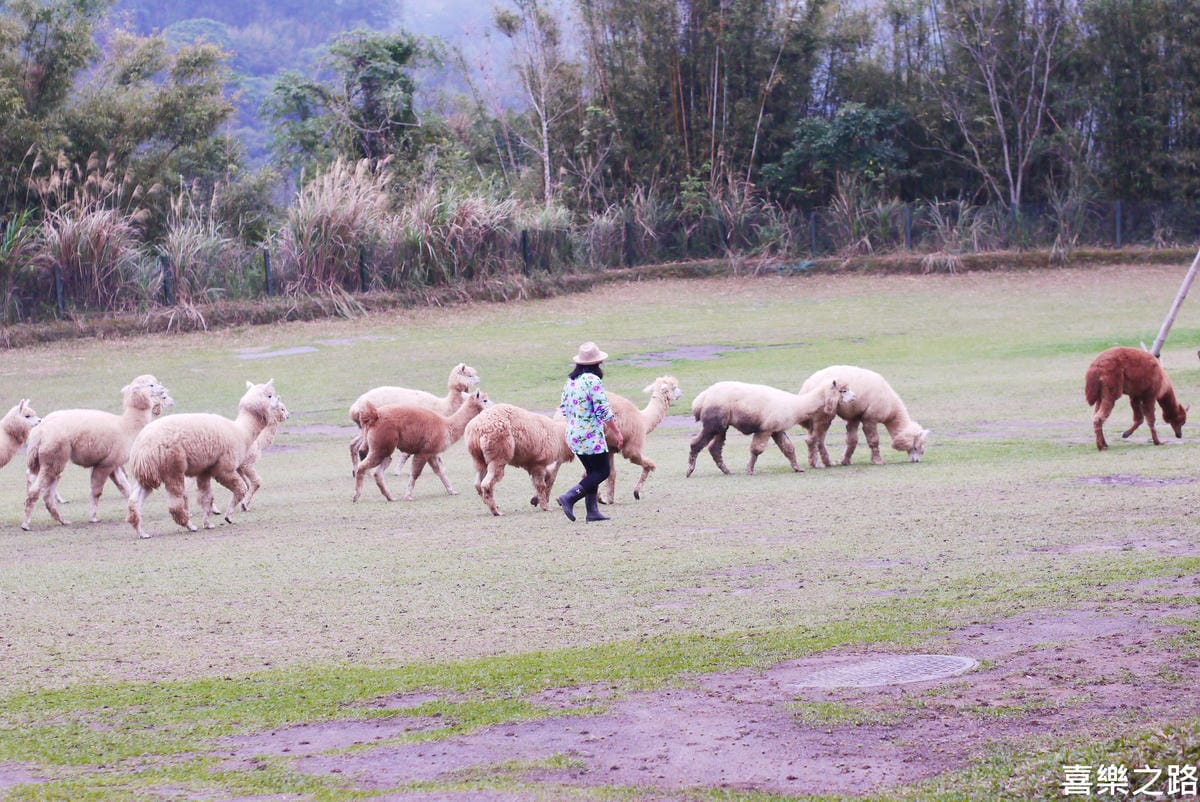 P1590707-.JPG P1590707-.JPG