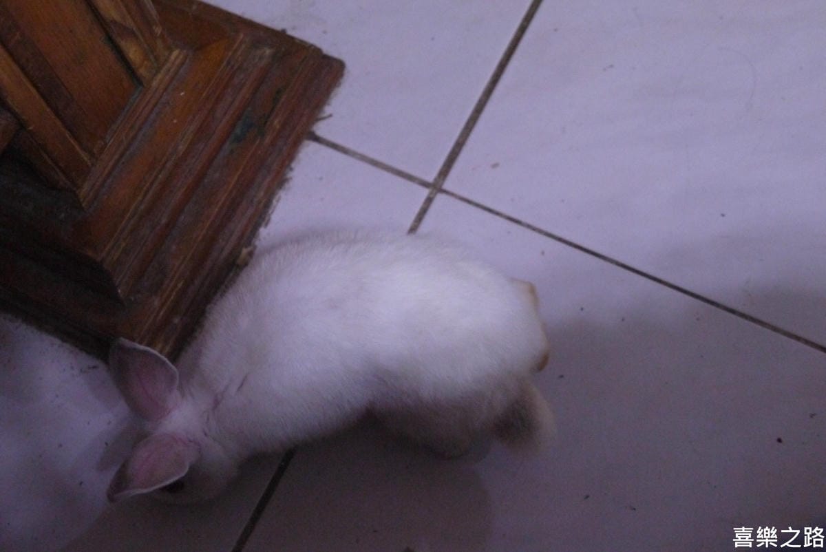 P1240578.JPG P1240578.JPG