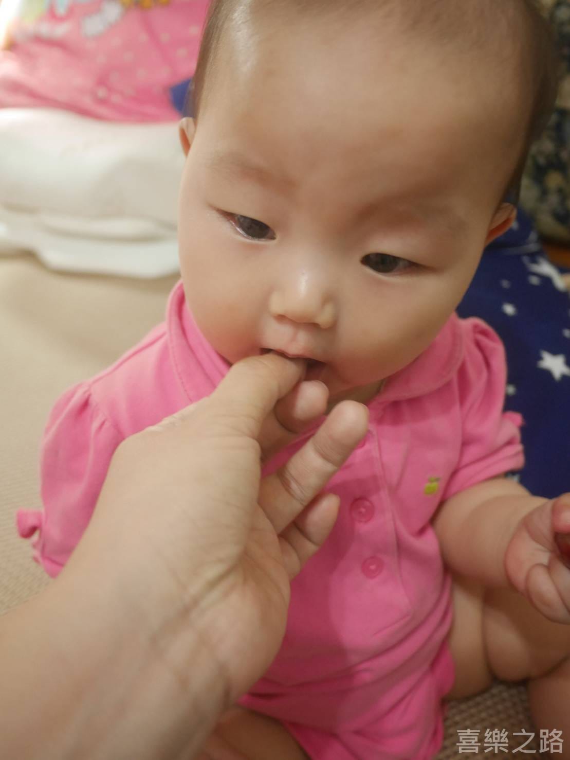 74155 (1).jpg 74155 (1).jpg