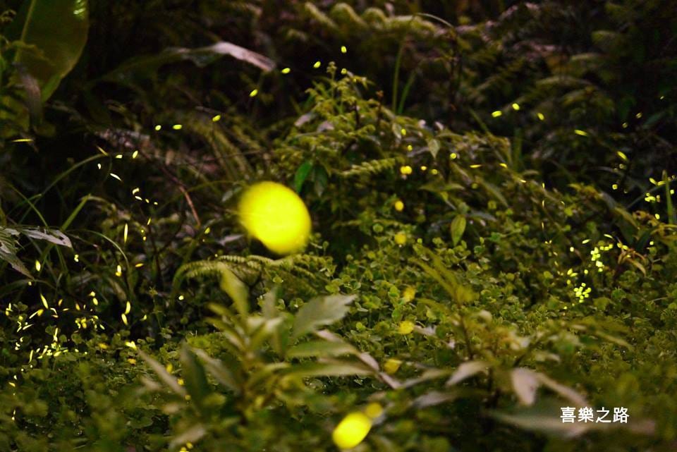 10299526_1411554242452543_8598841526203388881.jpg 10299526_1411554242452543_8598841526203388881.jpg