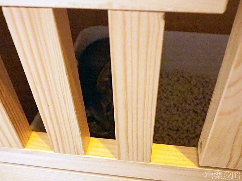 弄宅咖啡 貓中途 松江南京站美食 台北下午茶推薦 (11)貓休息中.jpg