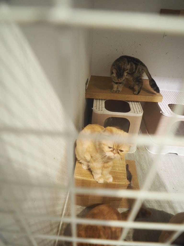 台北髮廊推薦INK Hair (19).jpg 台北髮廊推薦INK Hair (19).jpg