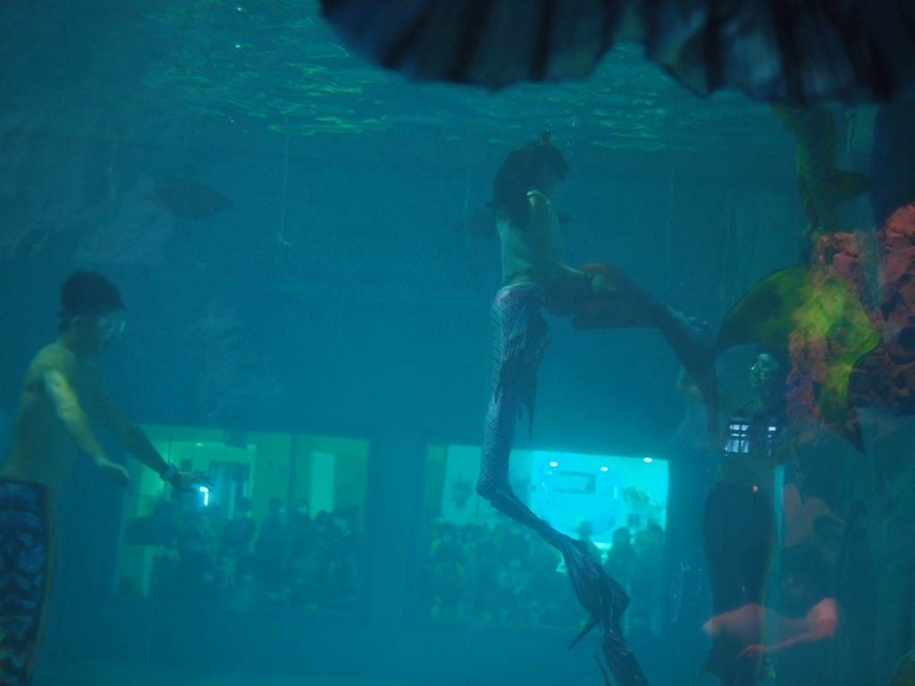 基隆景點 國立海洋科技博物館-海龜的奇幻旅程-全國最大IMAX3D-親子共遊體驗-海科館兒童館超好玩-基隆室內景點推薦 (4).jpg