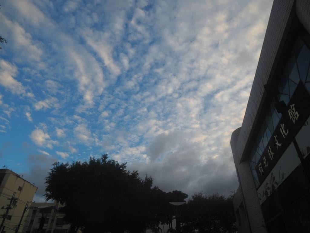 樹杞林文化館_201019_0.jpg 樹杞林文化館_201019_0.jpg