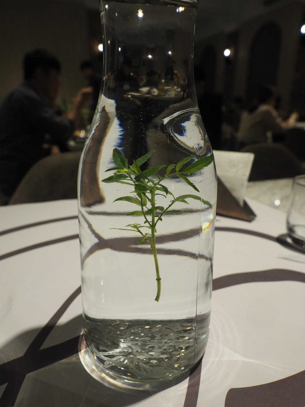 P3070455.JPG P3070455.JPG