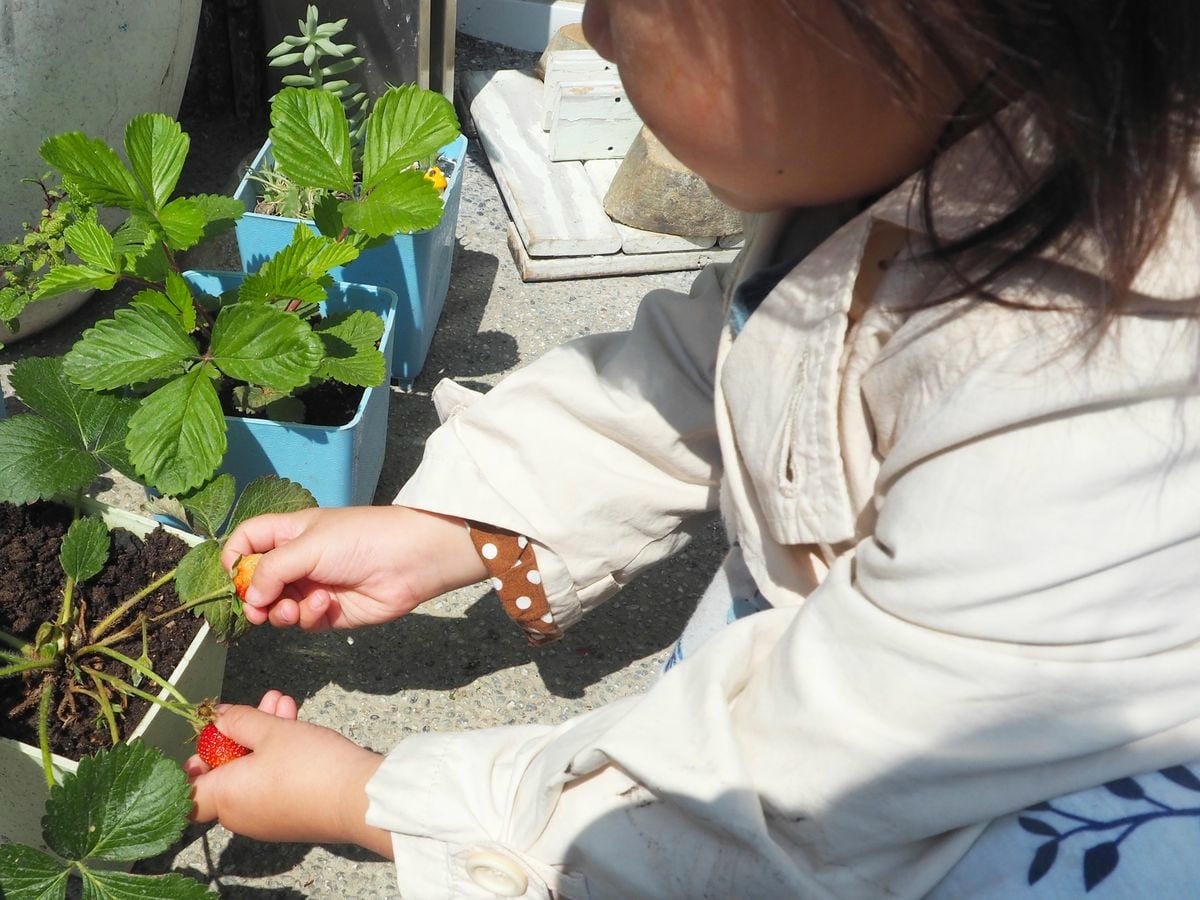 This Cafe 空景照 (13).JPG This Cafe 空景照 (13).JPG