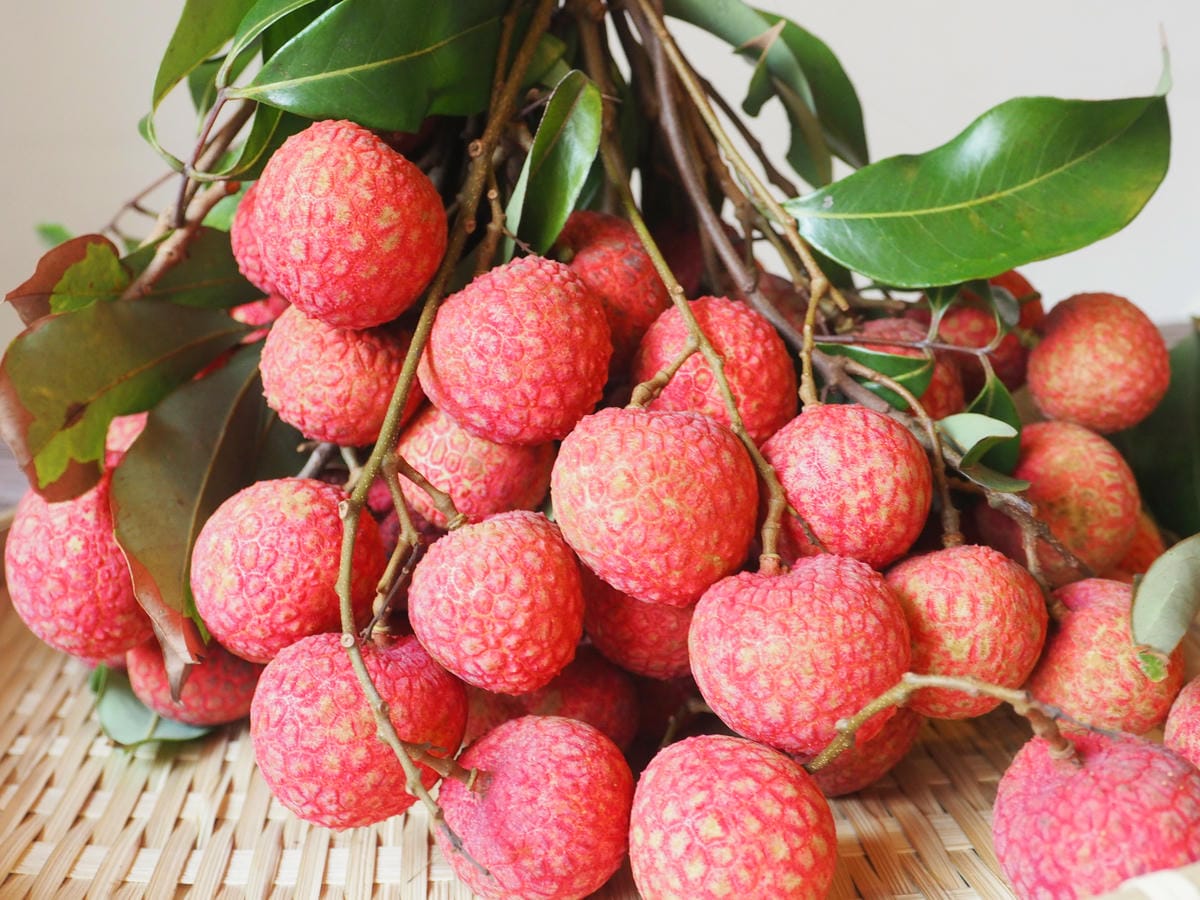 P6280020.JPG P6280020.JPG